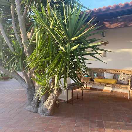 Dimorra Sun And Relax Villa Forio  Bagian luar foto