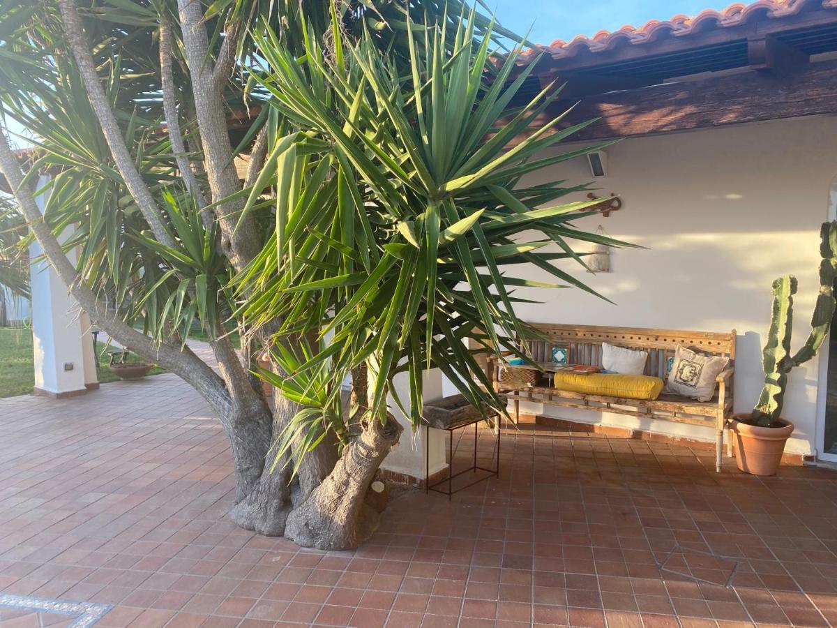 Dimorra Sun And Relax Villa Forio  Bagian luar foto